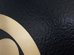 ���������������n�ɉf����^�J���H���F�ʖ���